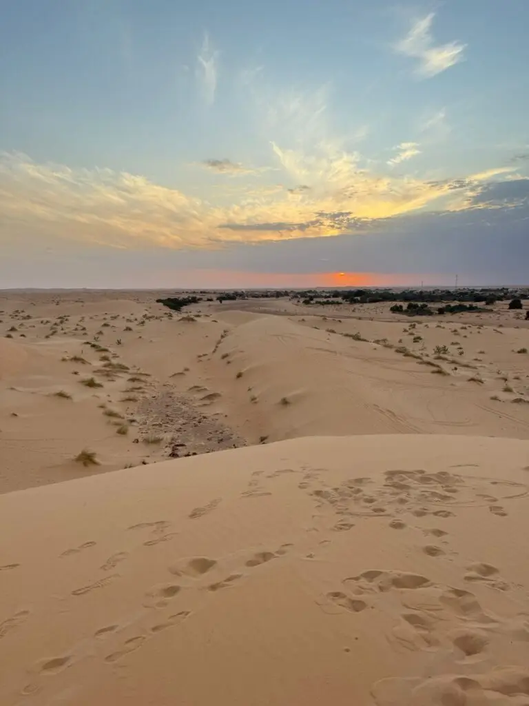Desert Adventures: Vast sand dunes near Chinguetti, Mauritania, with golden sands stretching into the horizon. A highlight of Adrar Desert Adventure Tours