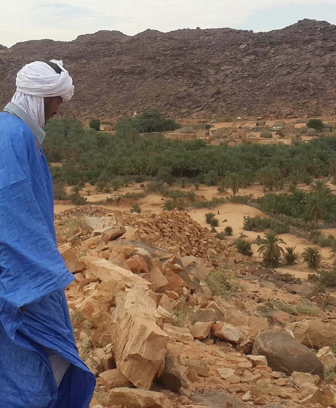 Oasis in Mauritania