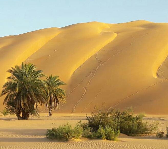 Azouega, a region in Mauritania known for its majestic sand dunes, some of the tallest in the country, located 4.5 hours northeast of Nouakchott, featured in Mauritanian Tours.
