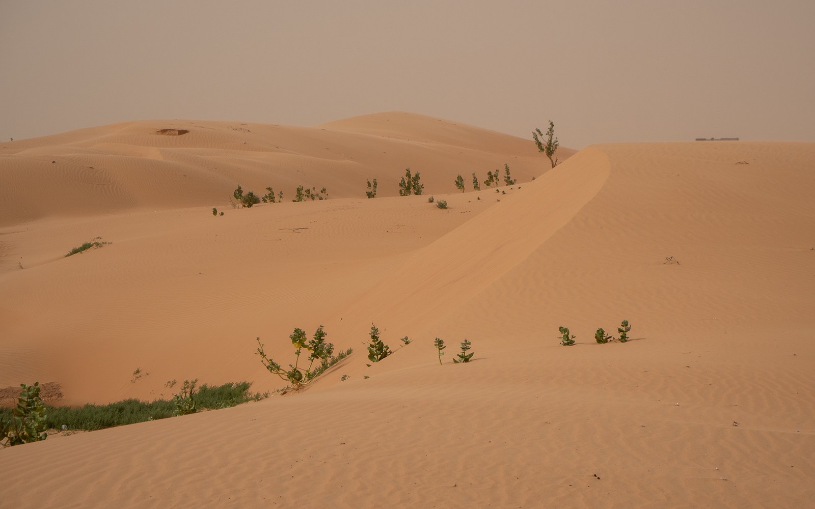 Golden sand dunes in Nouakchott, Mauritania