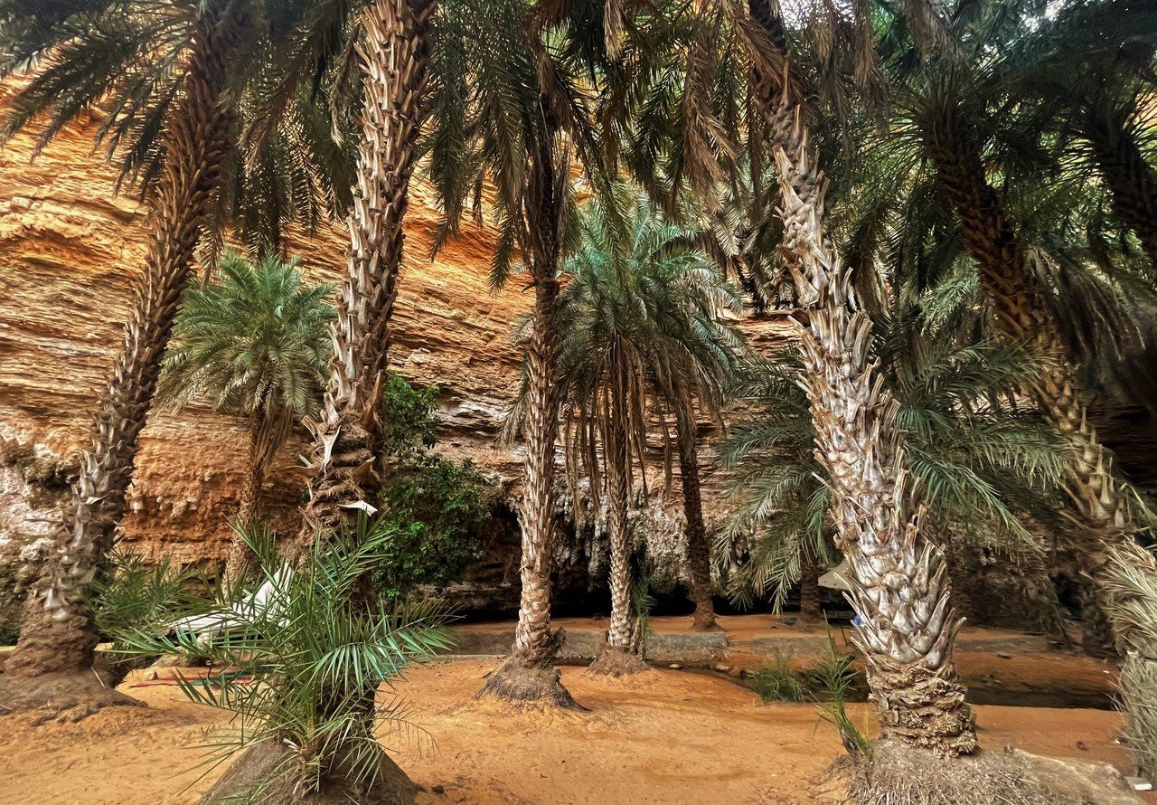 Scenic view of Terjit Oasis, surrounded by cliffs and palm trees in Mauritania's desert.