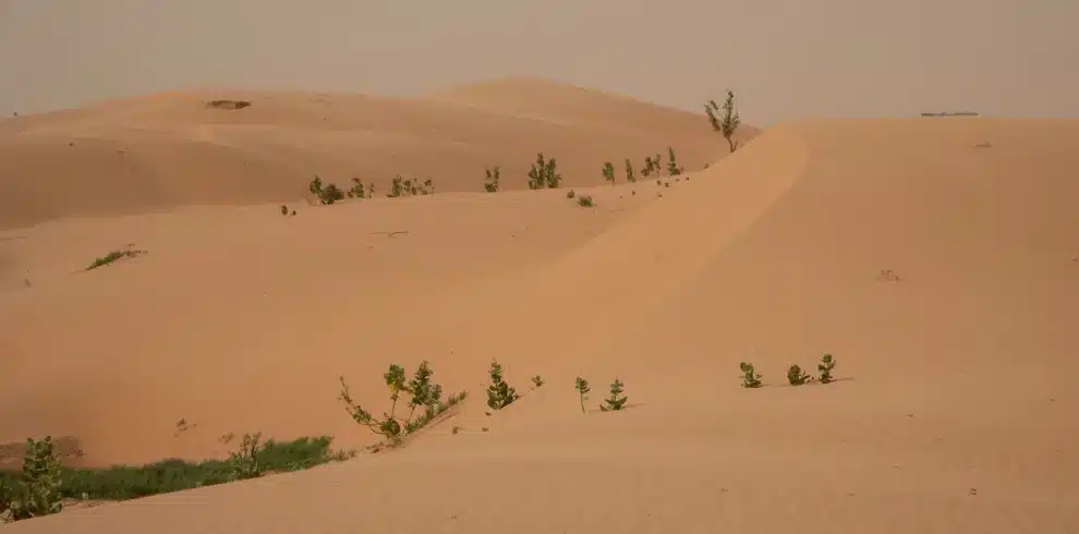 Sand dunes on the edge of Nouakchott, Mauritania