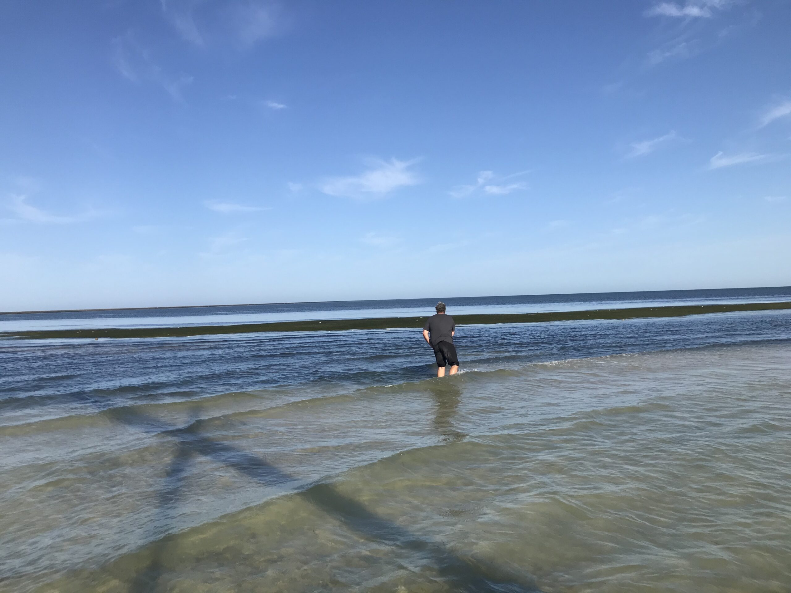 Nice beach of Banc d'Arguin