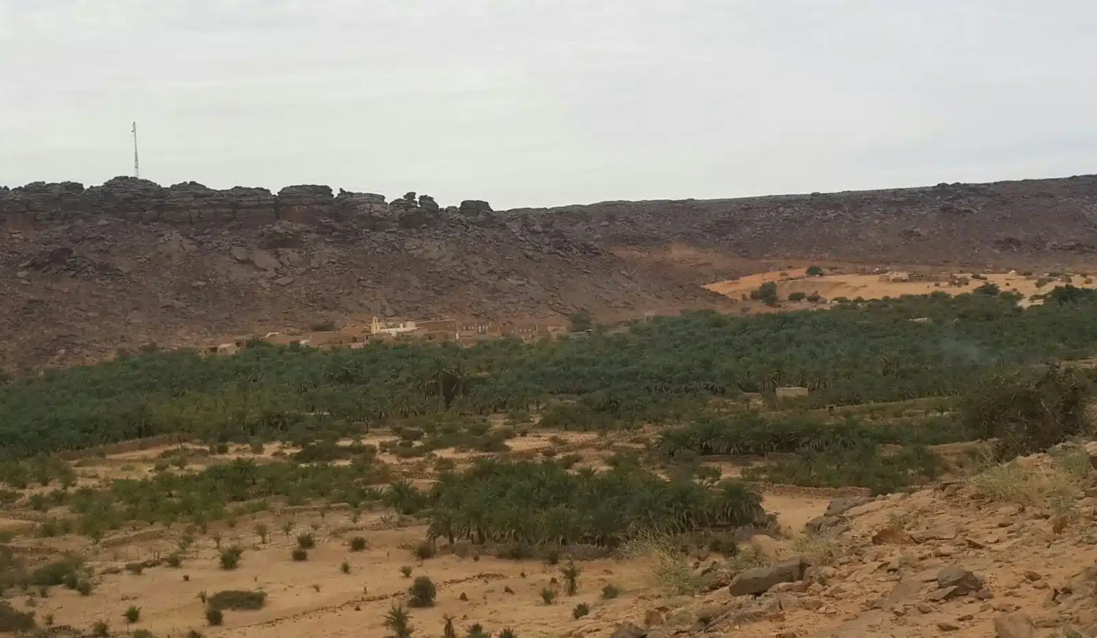 Palm-fringed oasis at Mheirith, Mauritania