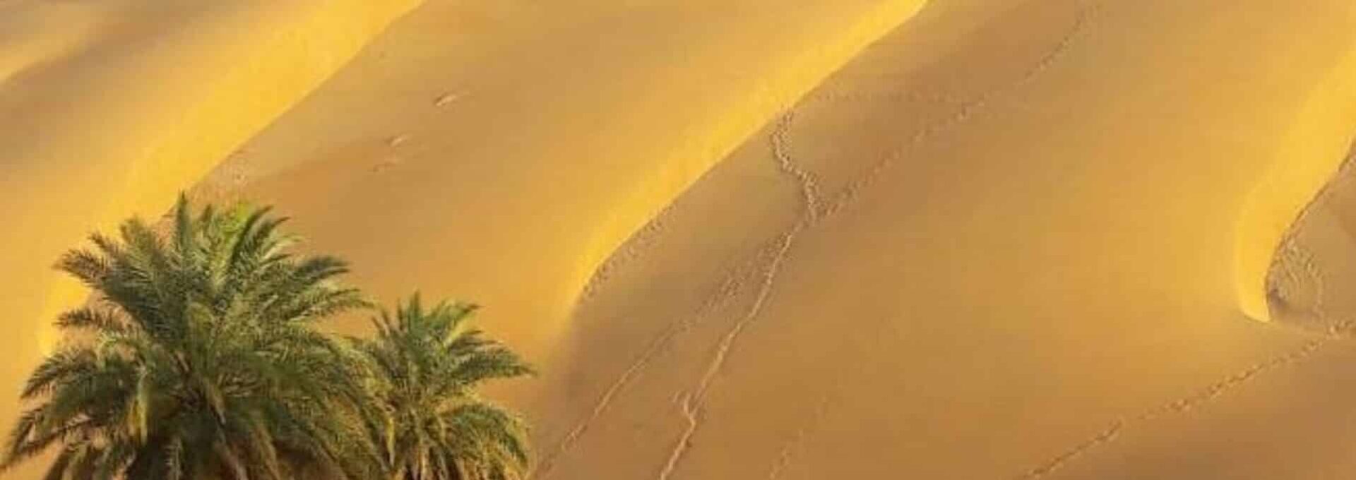 Vast sand dunes of Azouega in the Mauritanian Sahara desert
